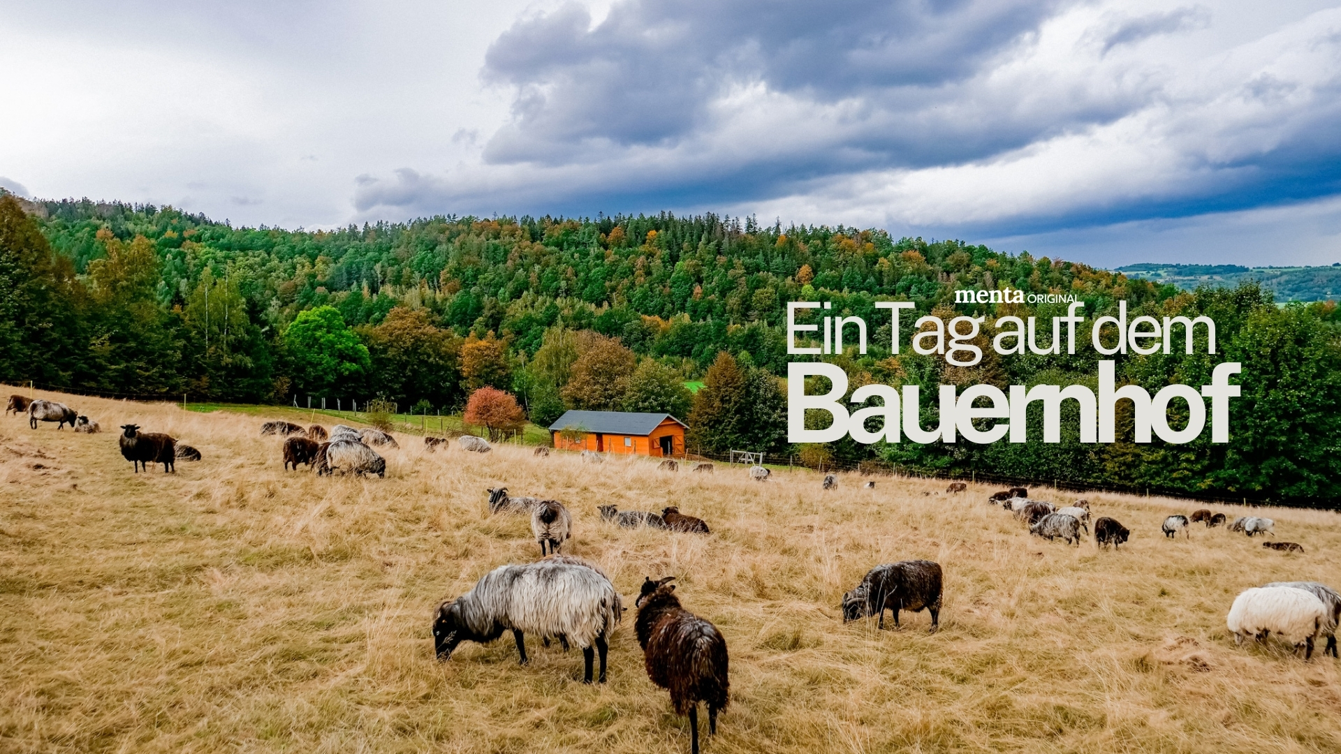 Ein Tag auf dem Bauernhof