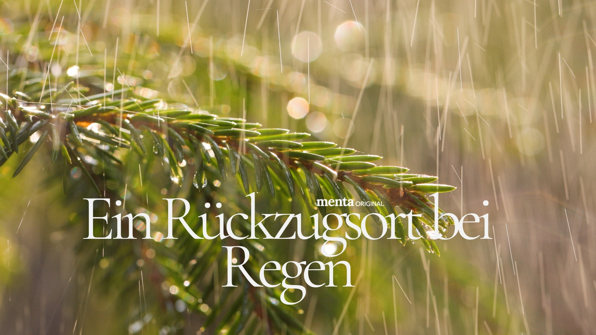 Ein Rückzugsort bei Regen