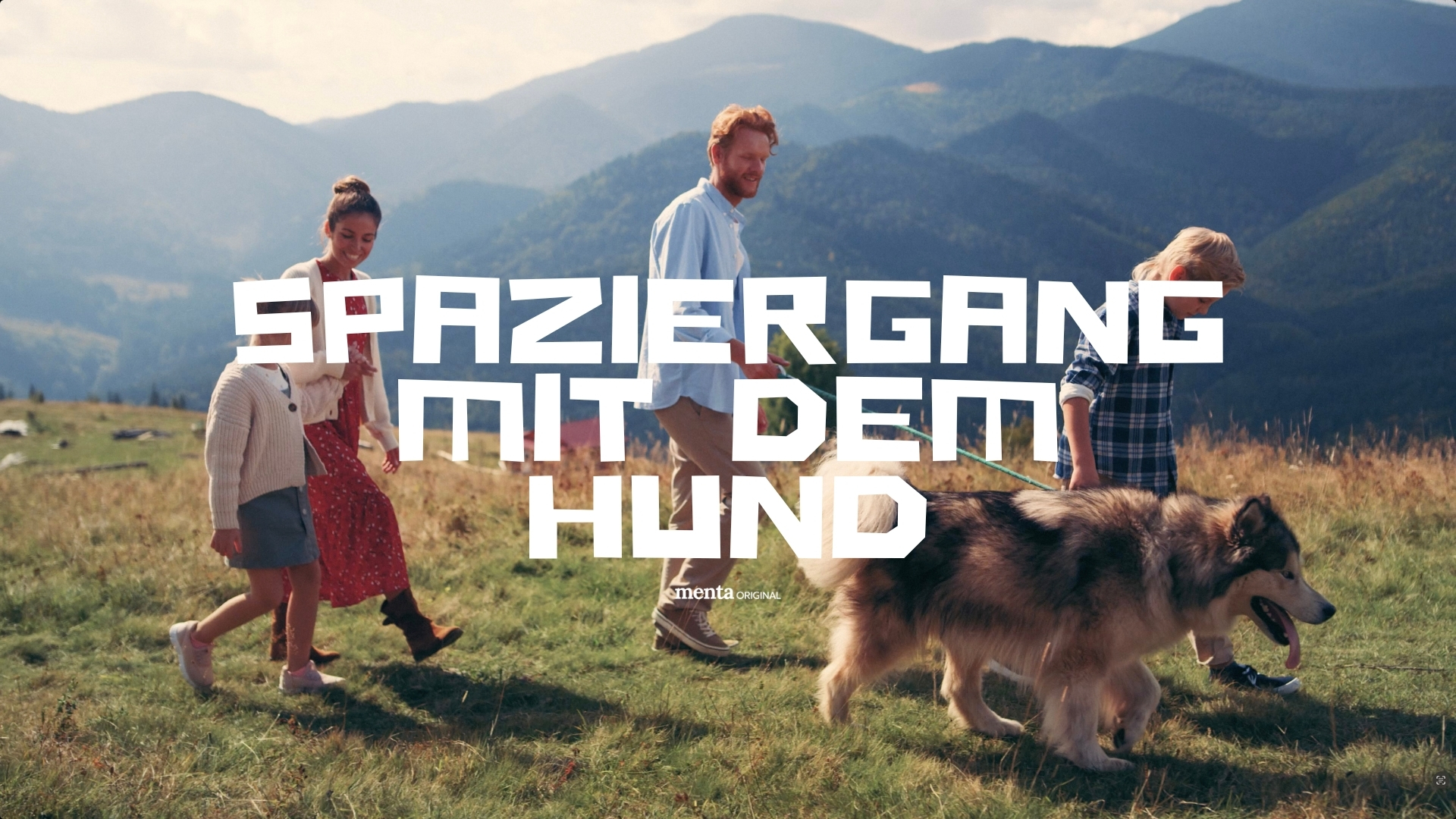 Spaziergang mit dem Hund