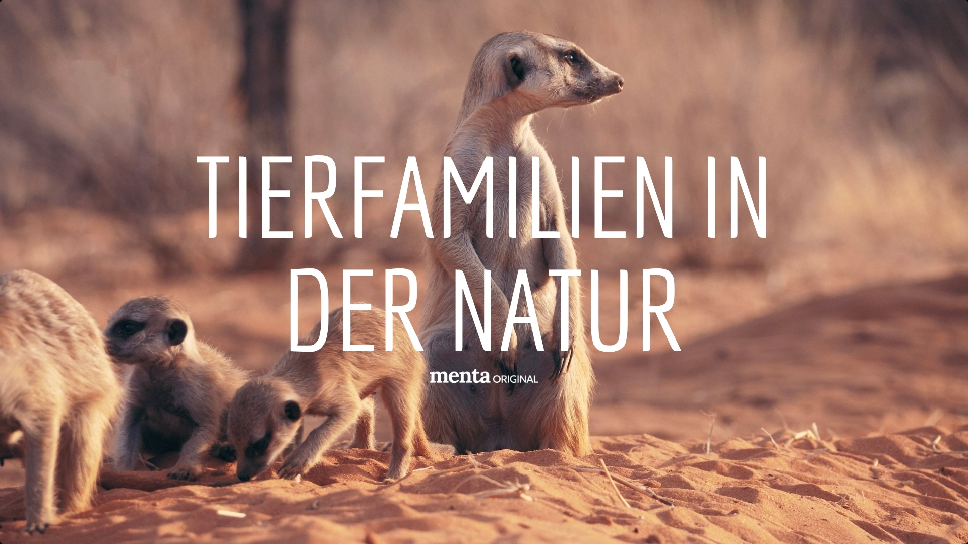 Tierfamilien in der Natur