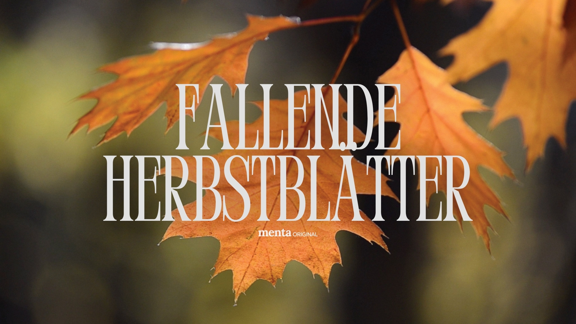 Fallende Herbstblätter