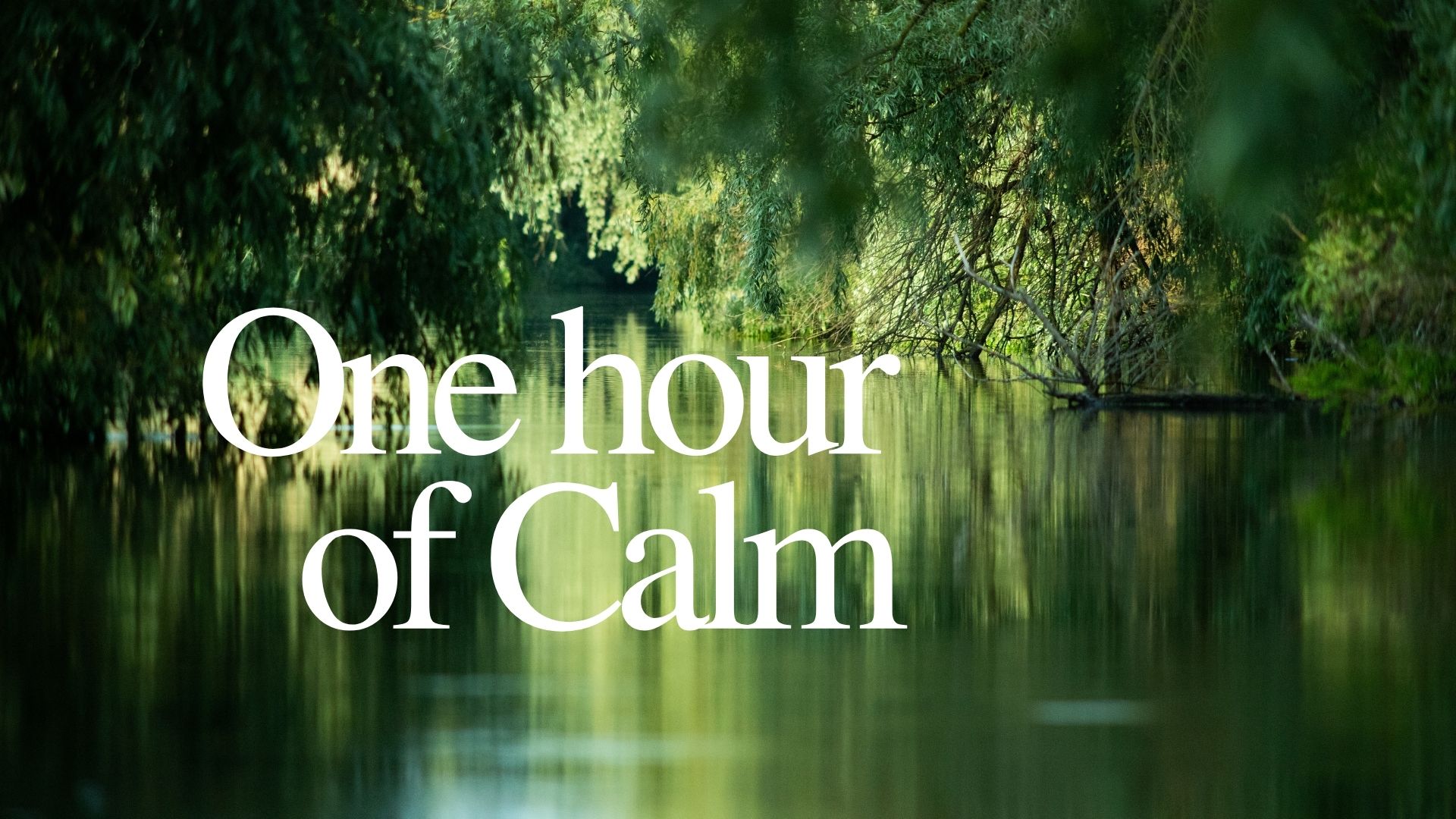 One Hour of Calm
