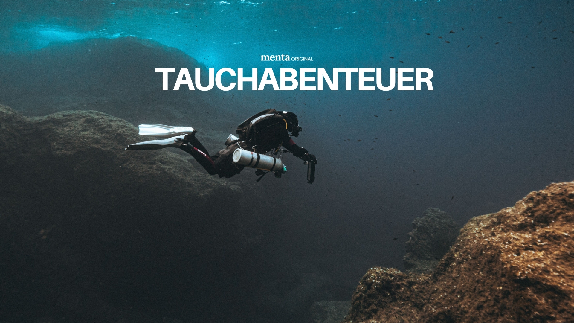 Tauchabenteuer