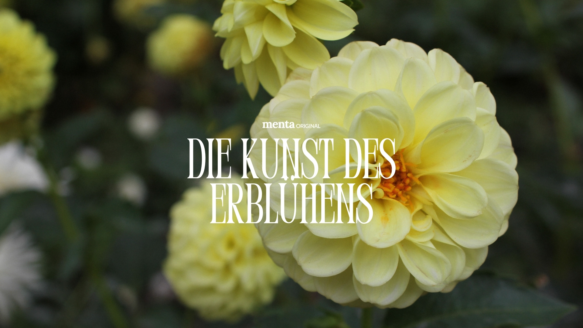 Die Kunst des Erblühens