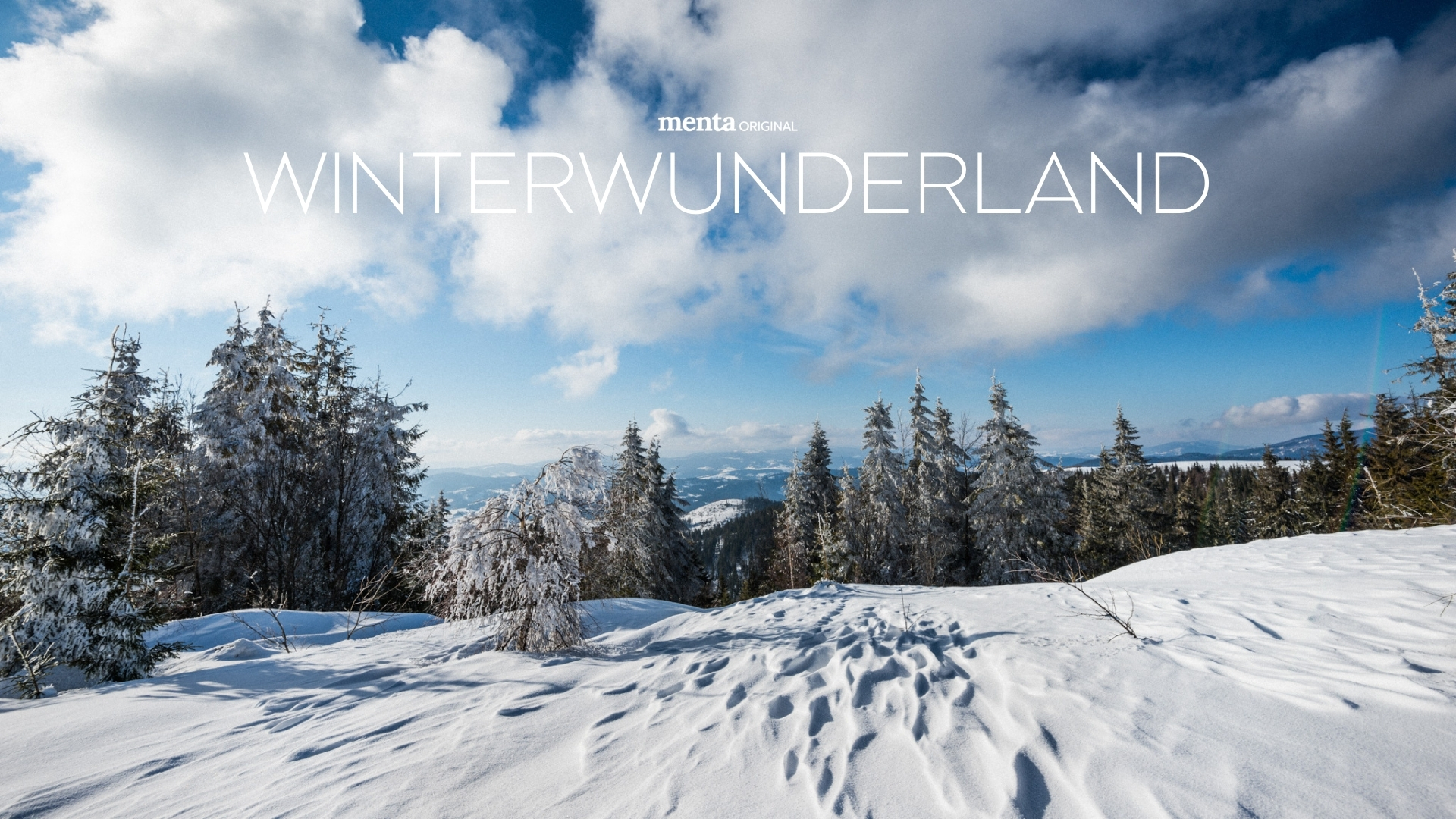 Winterwunderland