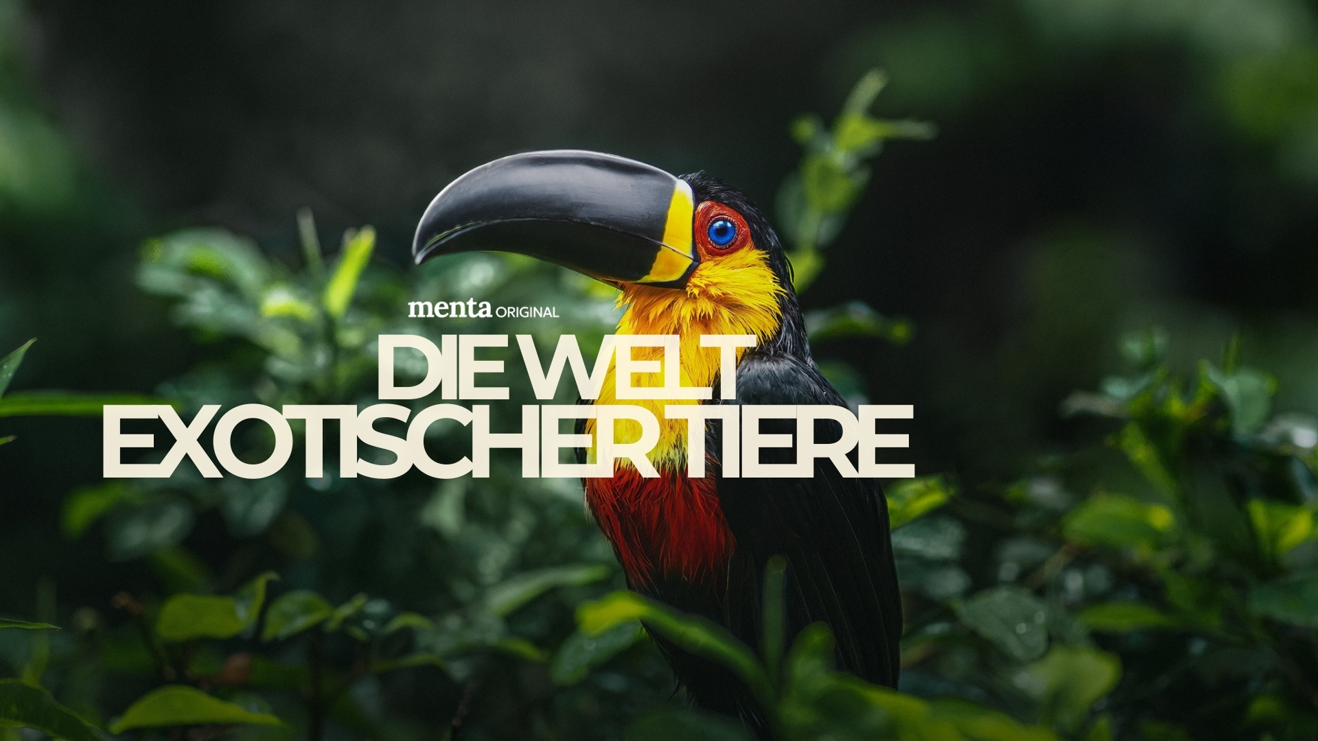 Die Welt exotischer Tiere