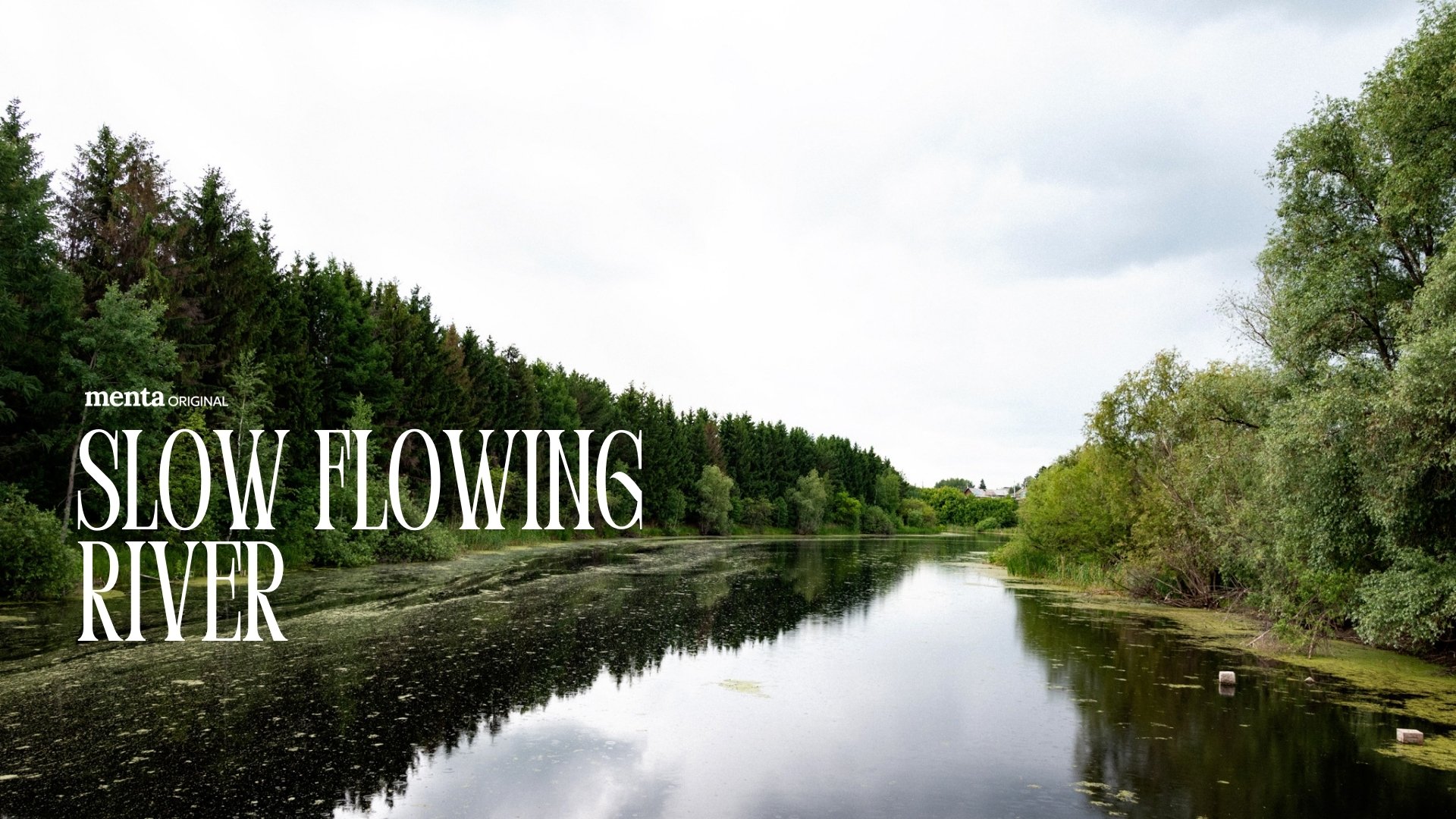 Slow Flowing River