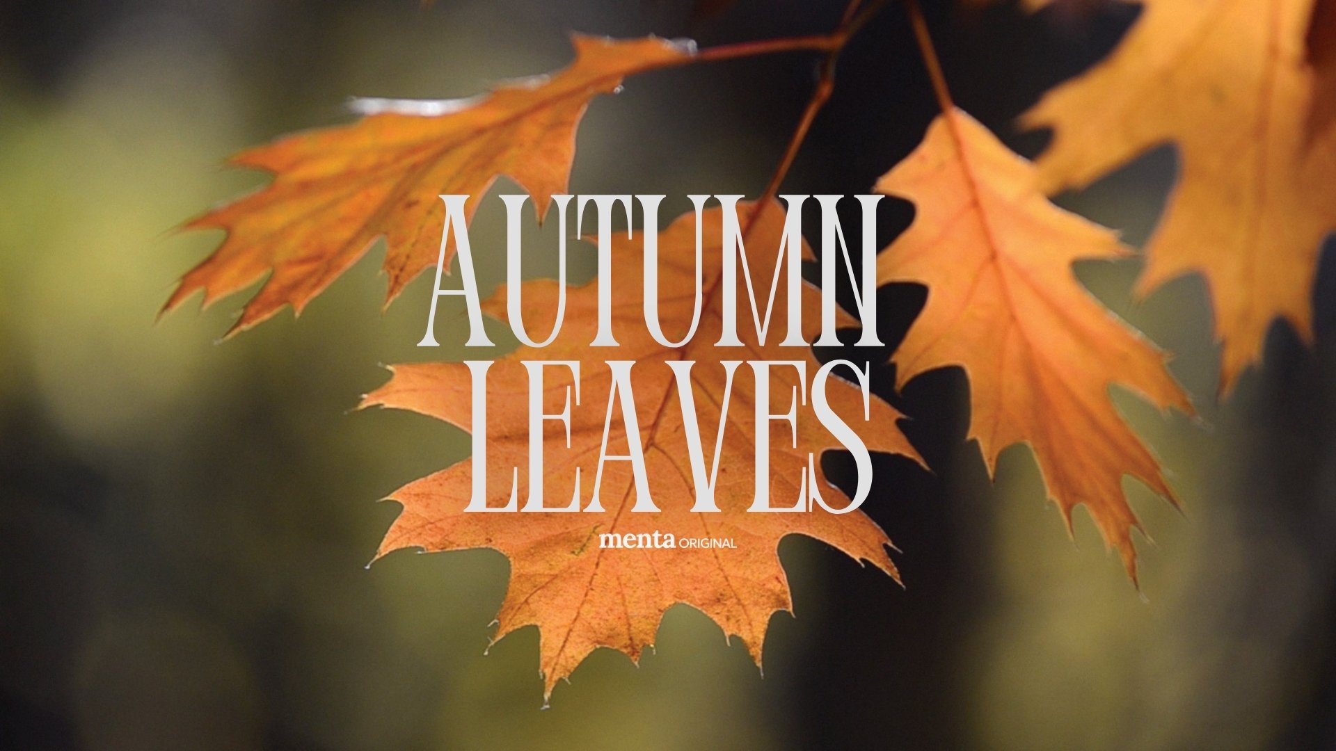 Autumn Leaves Falling
