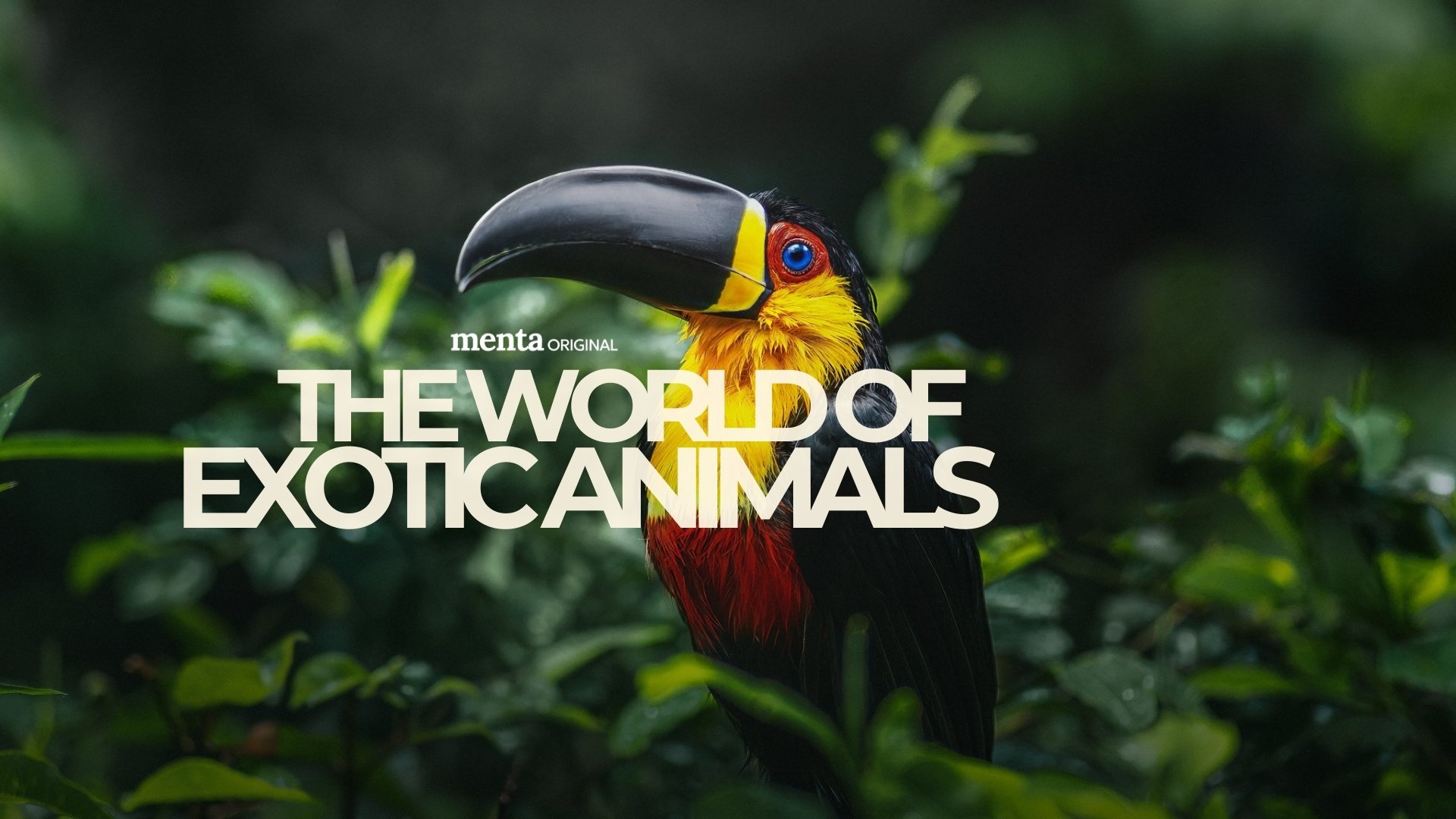 The World of Exotic Animals