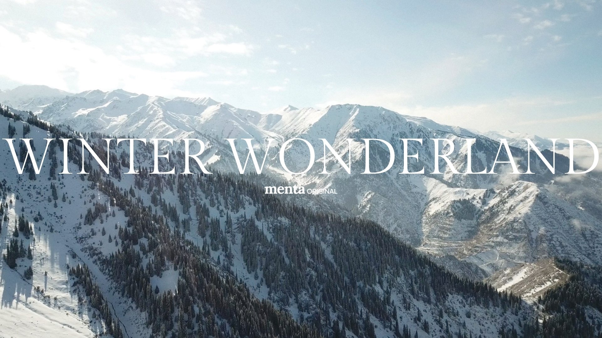Winter Wonderland