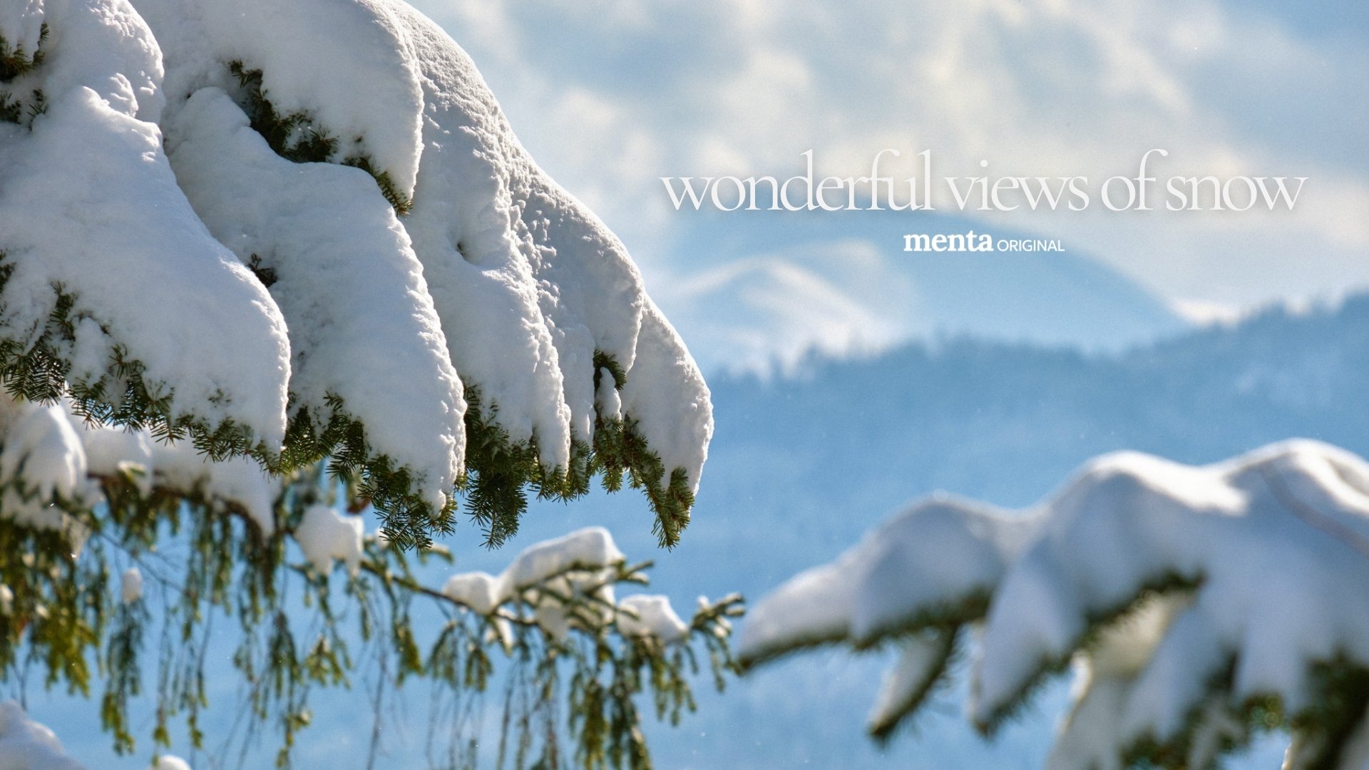 Wonderful Views of Snow